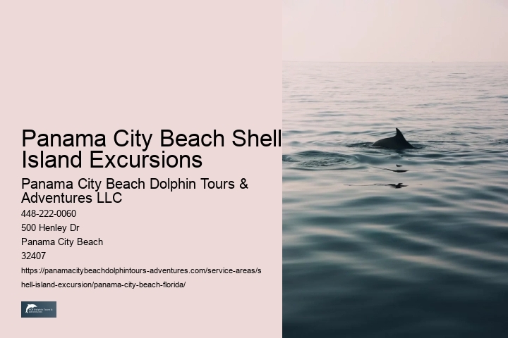 Panama City Beach Shell Island Excursions